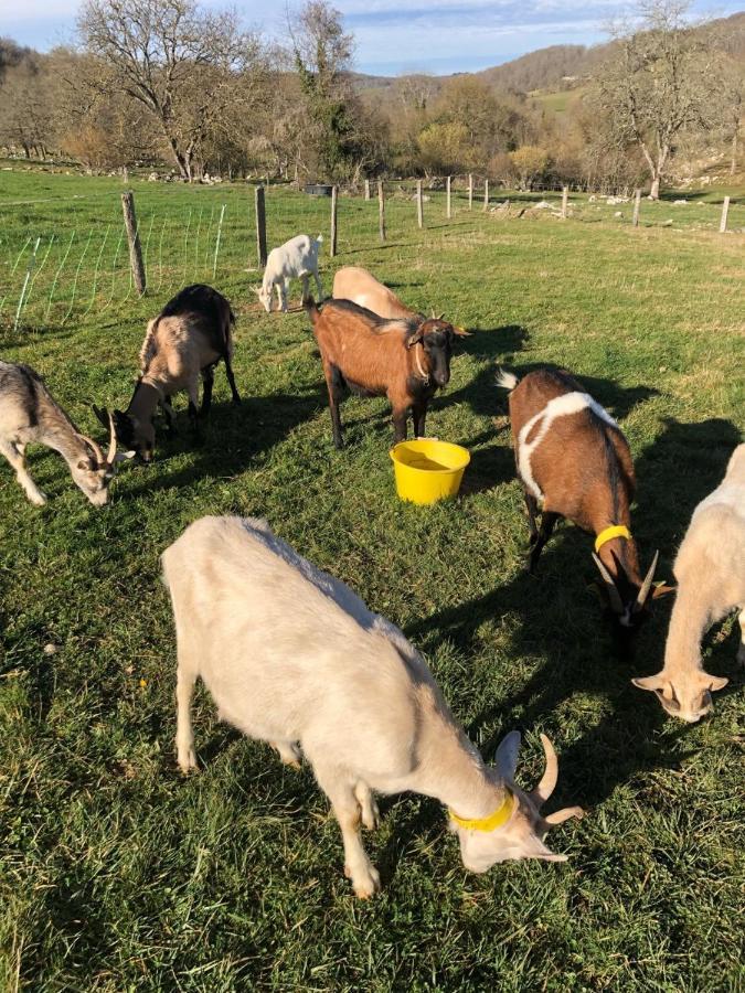 Chambre Familiale A La Ferme Montesquieu-Avantes 外观 照片
